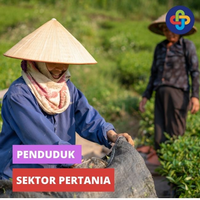 Kependudukan dan Sektor Pertanian 